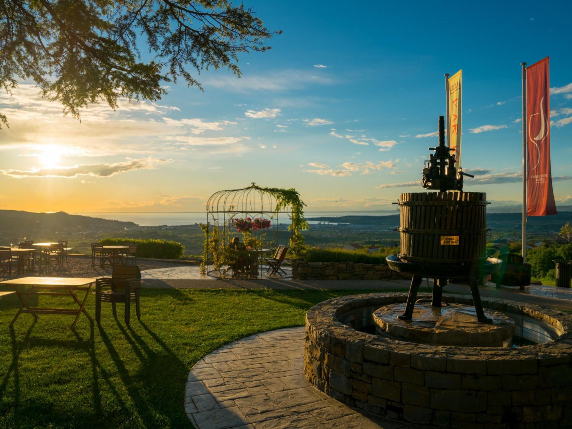 Wine Paradise - Glamping Resort Marezige Eksteriør billede