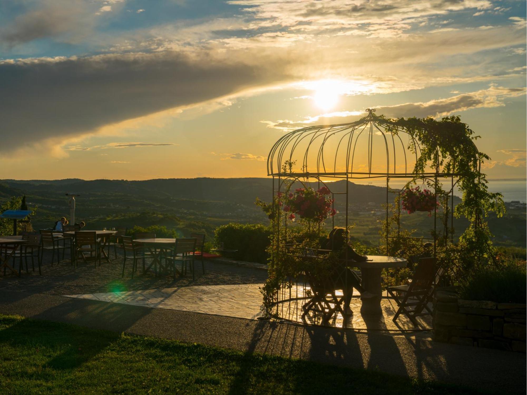 Wine Paradise - Glamping Resort Marezige Eksteriør billede