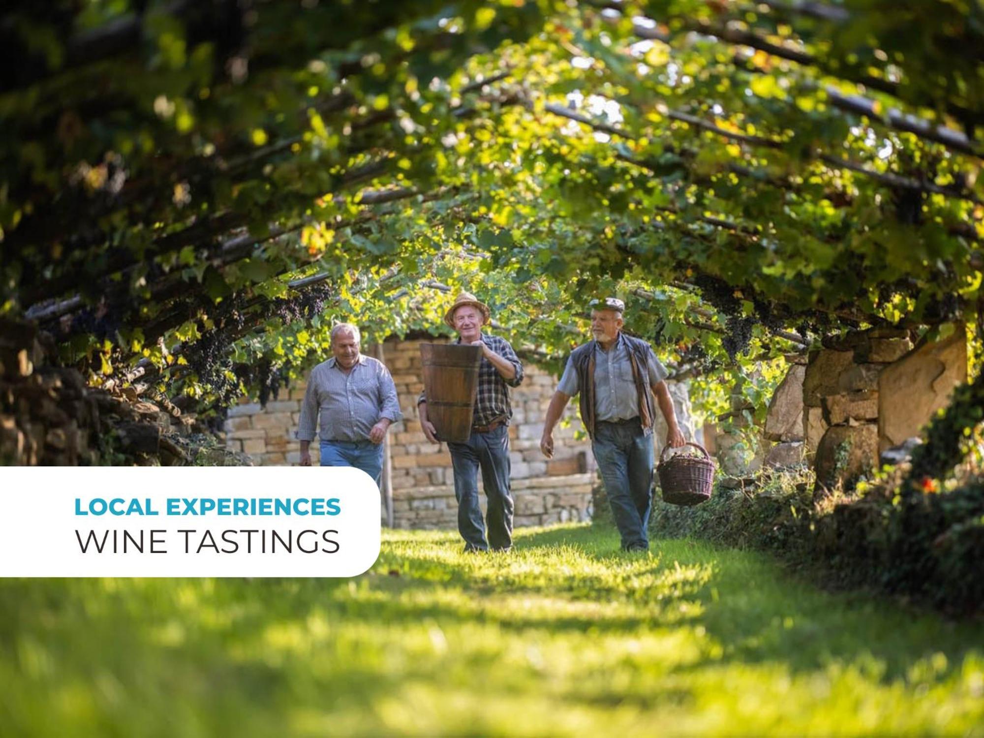 Wine Paradise - Glamping Resort Marezige Eksteriør billede